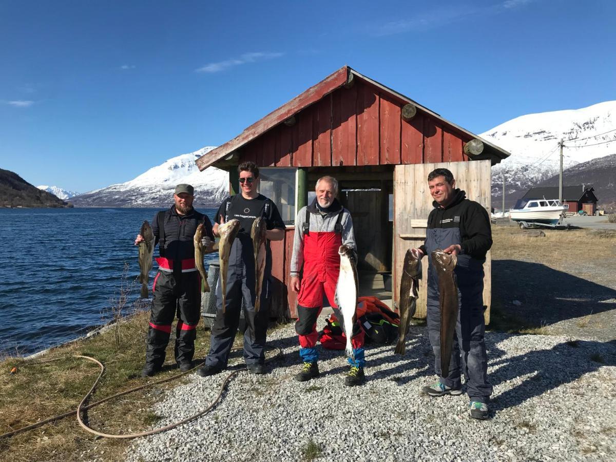 Manndalen Sjobuer Villa Samuelsberg Kültér fotó